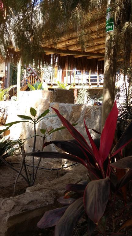 Lapa Lapa Lobitos Bungalows Hotel Ngoại thất bức ảnh