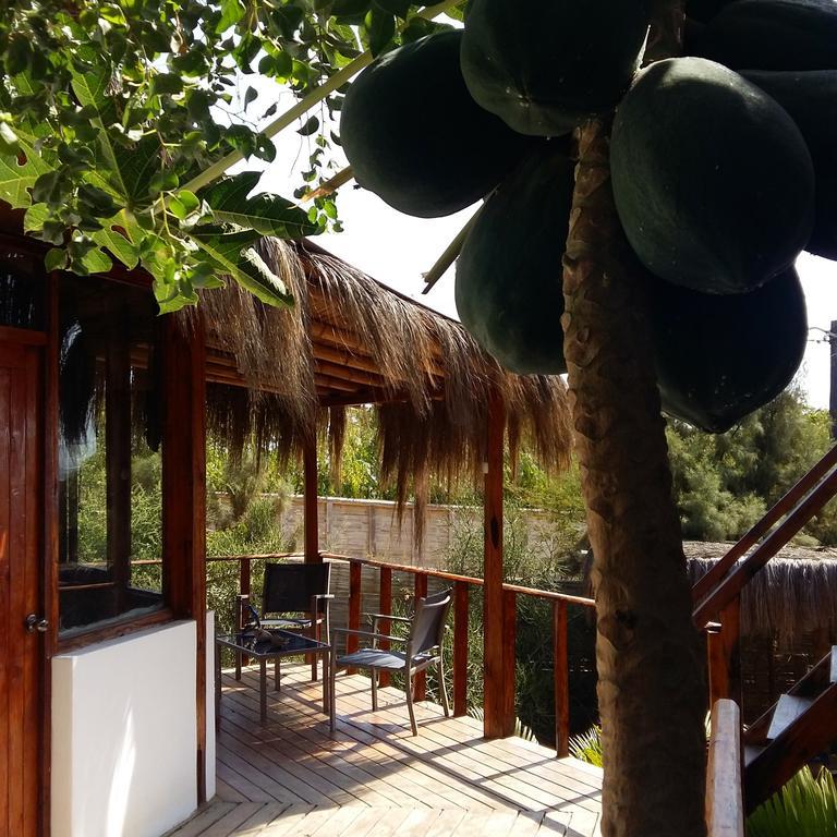 Lapa Lapa Lobitos Bungalows Hotel Ngoại thất bức ảnh